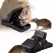 2025_11_17_c06c073277cd0e104b20e745fc172548